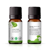 Jasmine Sambac Absolute